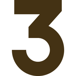 3 icon
