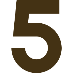 5 icon